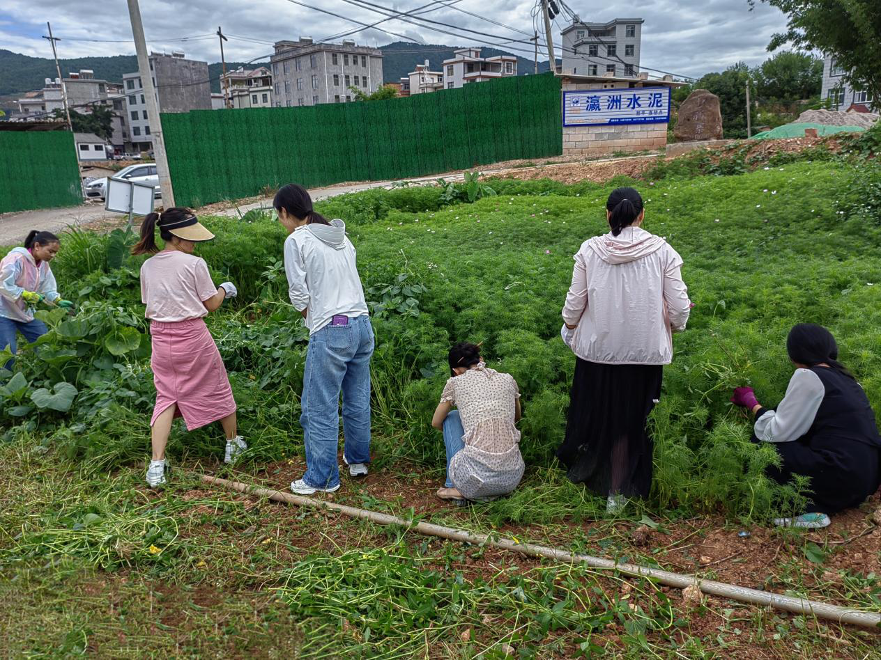 古城街道:党建引领携手共建 焕发美丽乡村新颜值1.png 古城街道:党建引领携手共建 焕发美丽乡村新颜值1.png