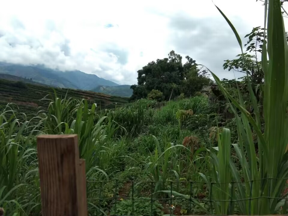 党建特色亮点2.png