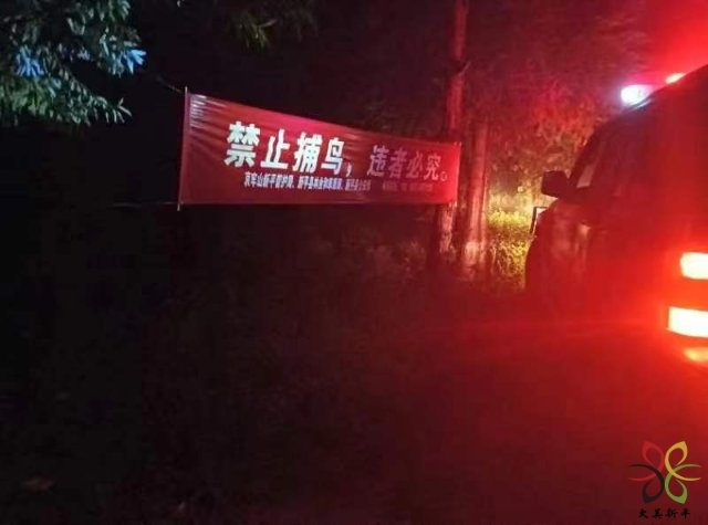 图片9.png 图片9.png