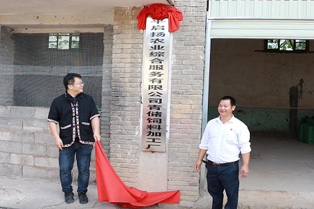 图片16.jpg 图片16.jpg
