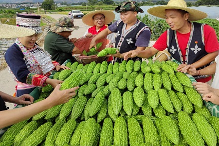 图片19.jpg 图片19.jpg