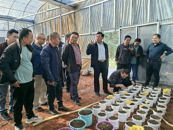 微信图片_20231026163525.jpg 微信图片_20231026163525.jpg