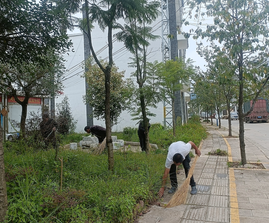 建兴乡马鹿社区开展环境卫生大整治活动2.png