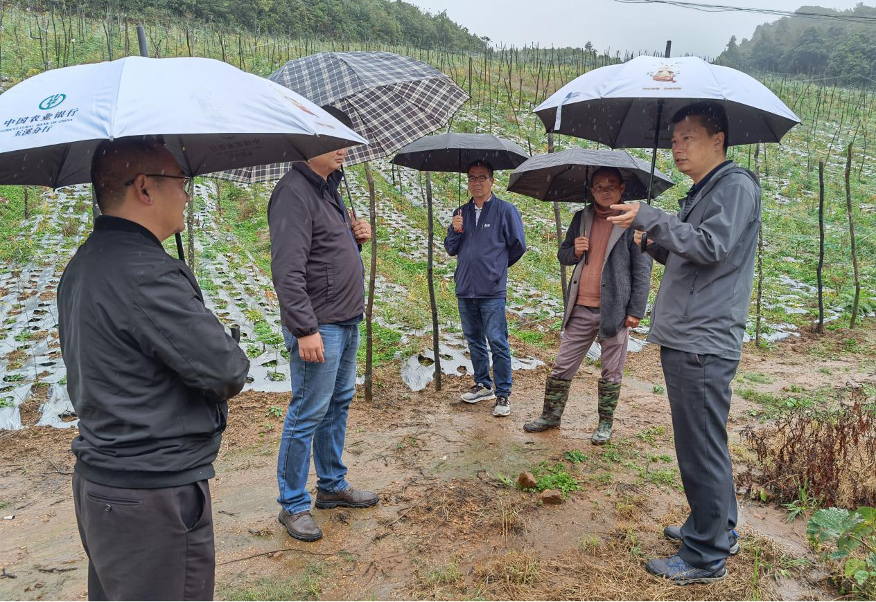 市科技局领导到建兴联系村开展综合调研2.png 市科技局领导到建兴联系村开展综合调研2.png