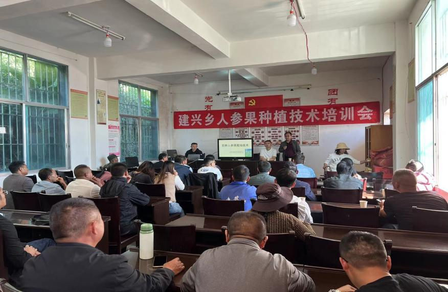 乡村振兴｜建兴乡开展人参果种植技术培训会1.png