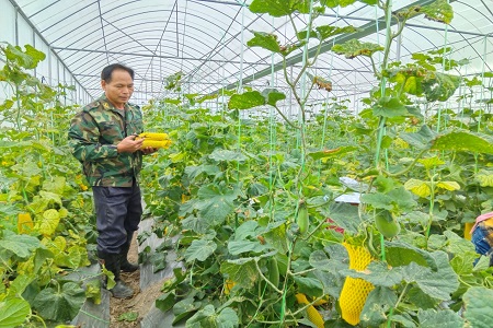 图片5.jpg 图片5.jpg