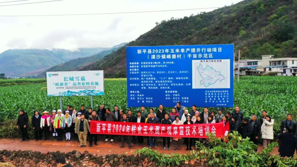 图片1.png