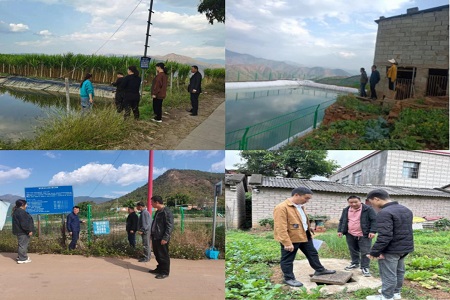 图片40.jpg 图片40.jpg