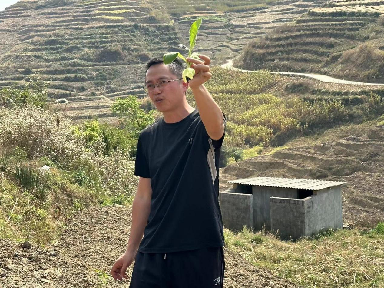 建兴：技术培训进烟田  农户现场学“良方”2.png