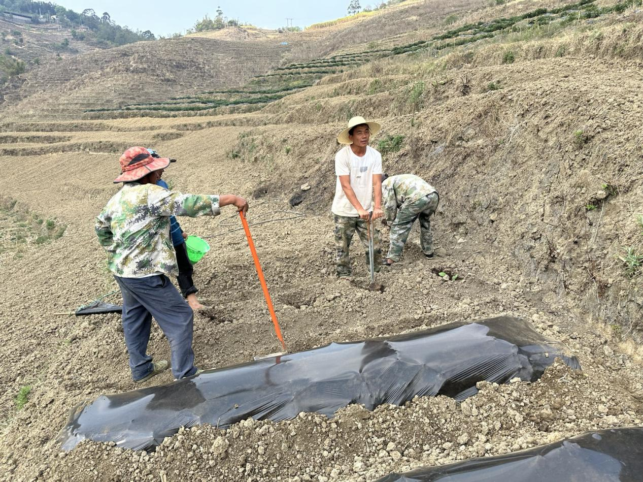 建兴：技术培训进烟田  农户现场学“良方”3.png