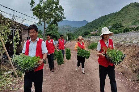 图片16.jpg