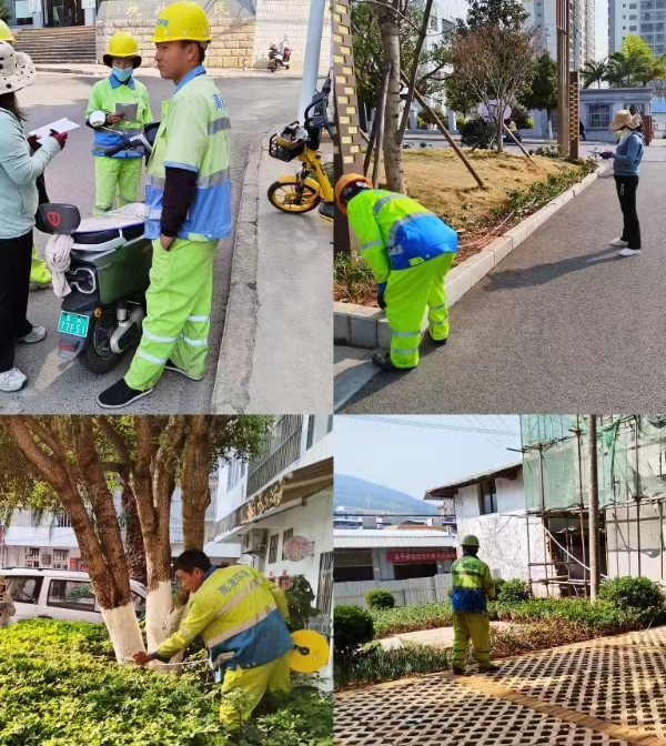 图片1.png 图片1.png