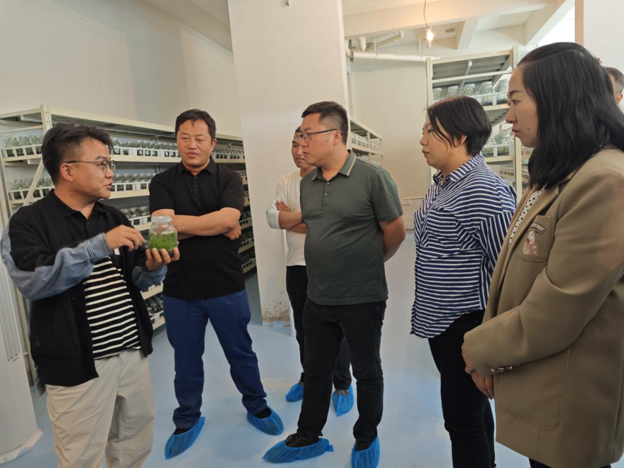 建兴乡人大主席团组织开展综合考察学习活动3.png 建兴乡人大主席团组织开展综合考察学习活动3.png