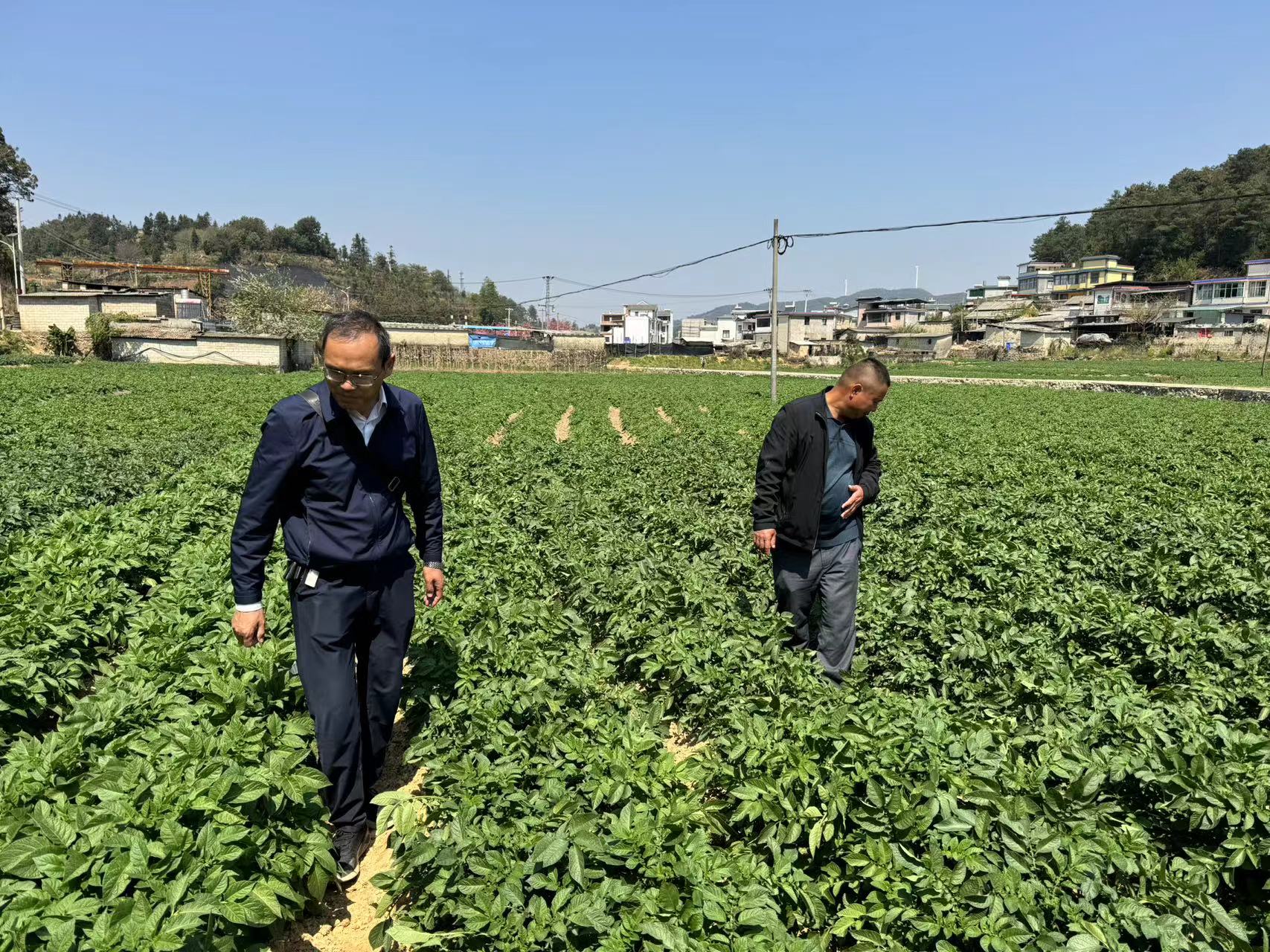 建兴:科研团队“加盟” 助力现代农业提质增效1 (2).jpg 建兴:科研团队“加盟” 助力现代农业提质增效1 (2).jpg
