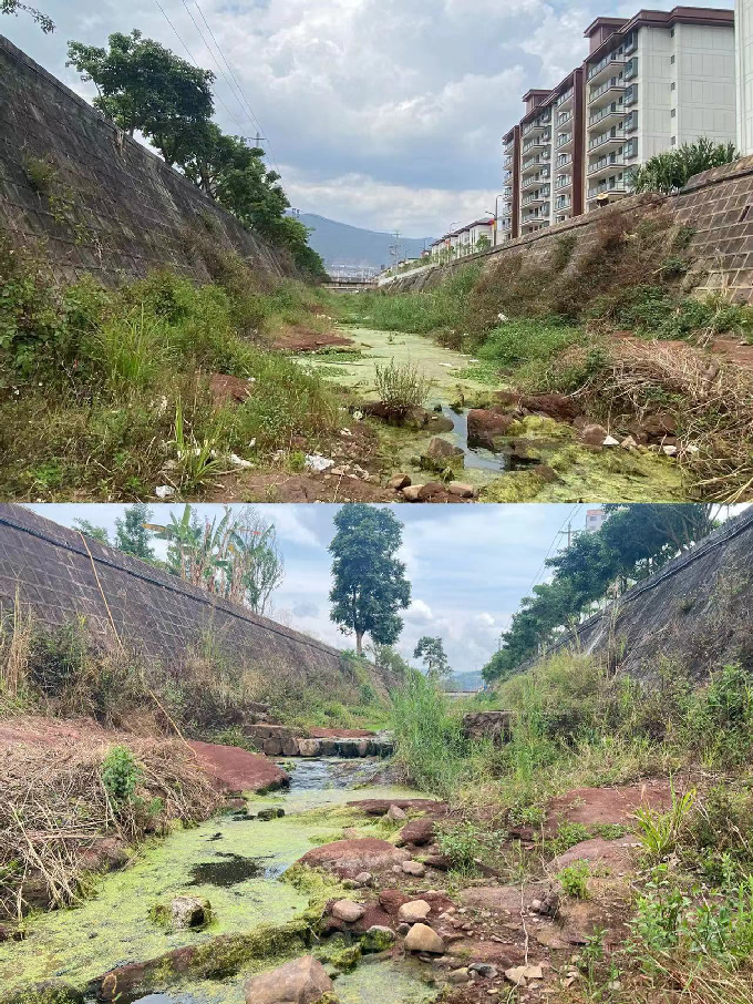 党建引领打造水清岸绿2.png 党建引领打造水清岸绿2.png