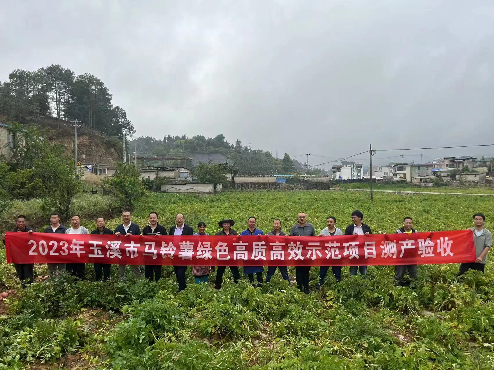 图片1.png