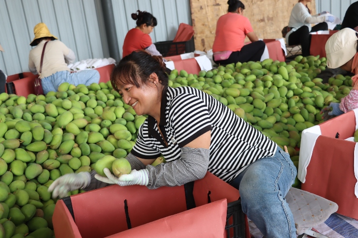 c2144c60_360AI图片工具.jpeg c2144c60_360AI图片工具.jpeg