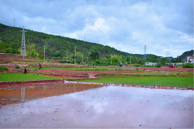 纳溪社区:雨后墒情好 农户抢种忙1.png 纳溪社区:雨后墒情好 农户抢种忙1.png