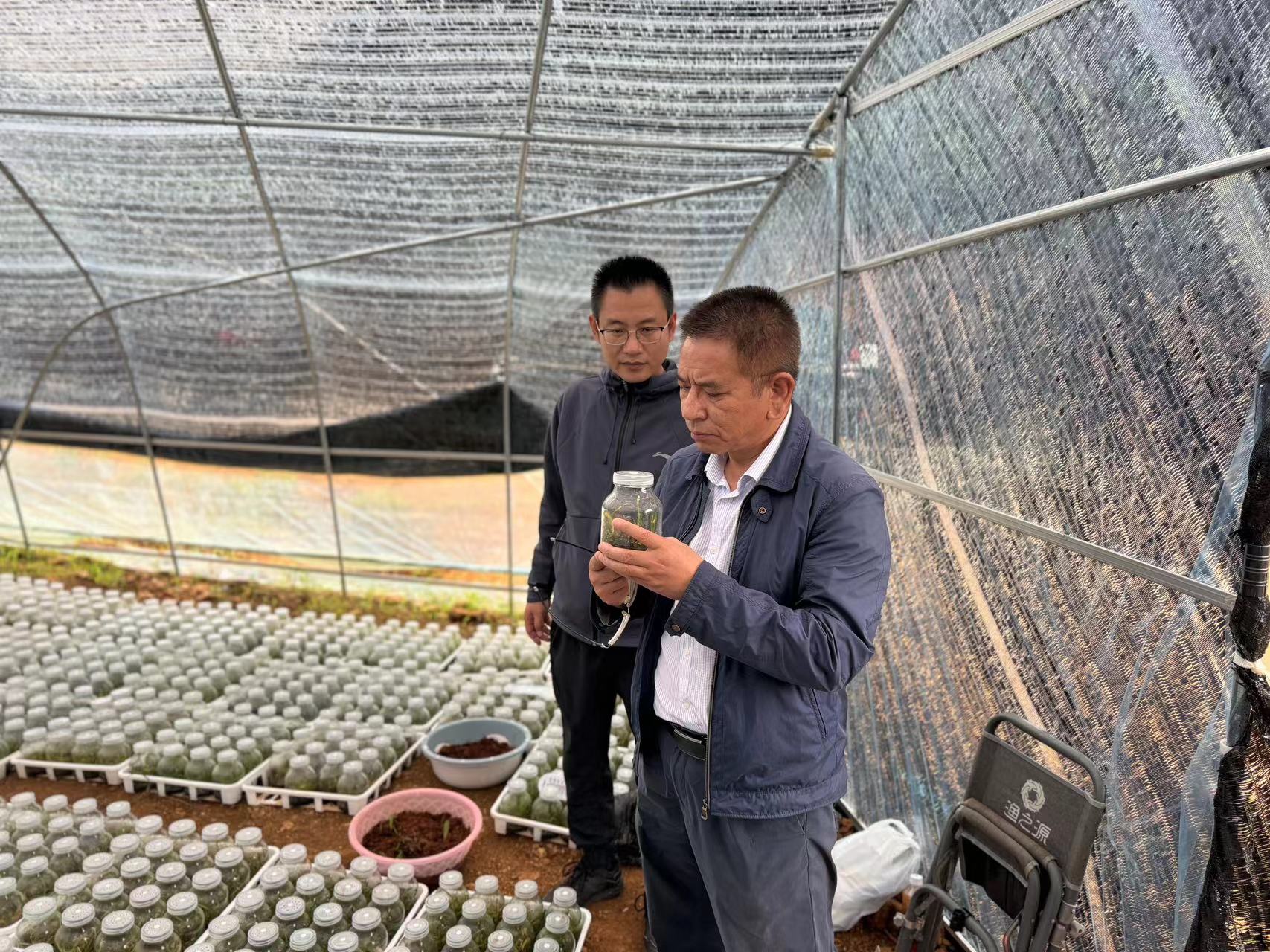玉溪市政协到建兴调研农业产业基地发展情况1.jpg