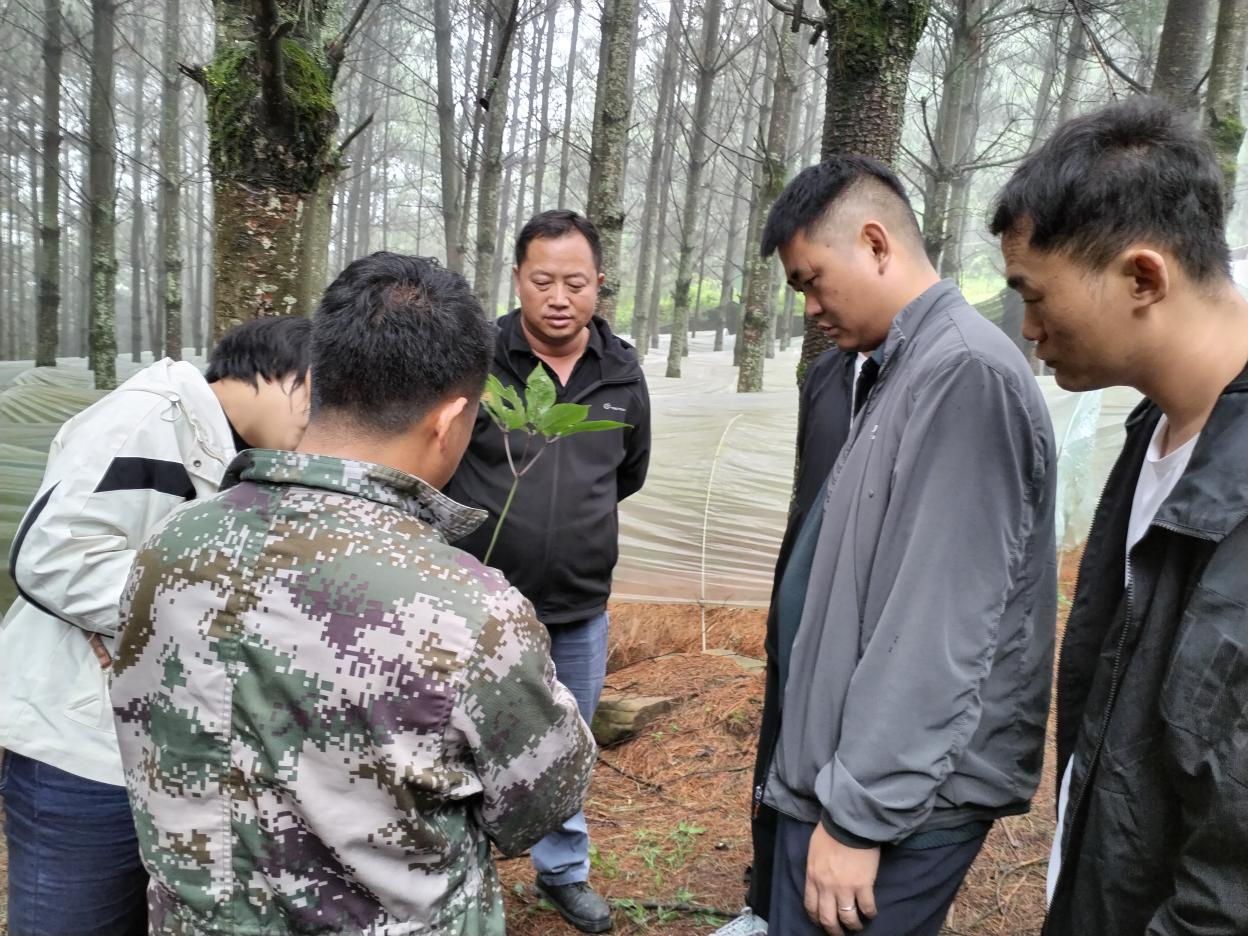 建兴乡组织县乡人大代表考察学习林下中药材产业2.png 建兴乡组织县乡人大代表考察学习林下中药材产业2.png
