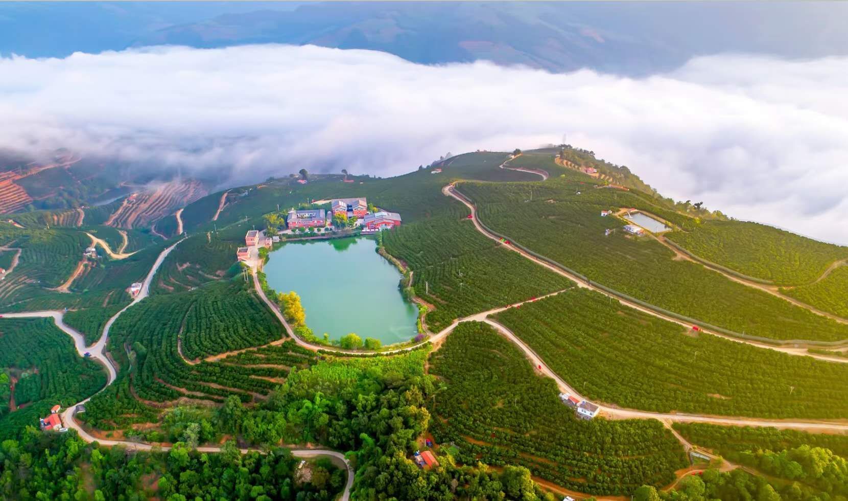 褚橙庄园.jpg 褚橙庄园.jpg
