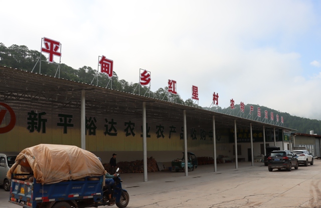 红星交易市场.jpg 红星交易市场.jpg