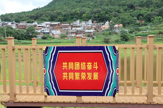 11.jpg 11.jpg