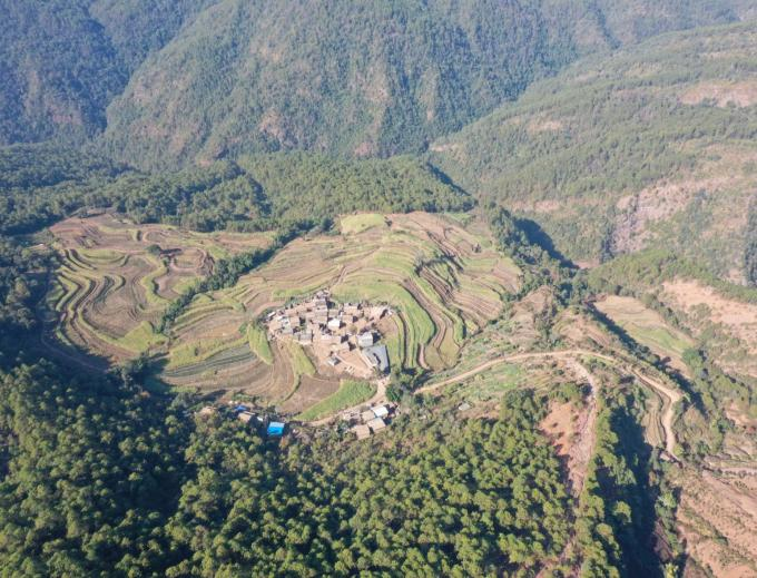 图片1.png 图片1.png