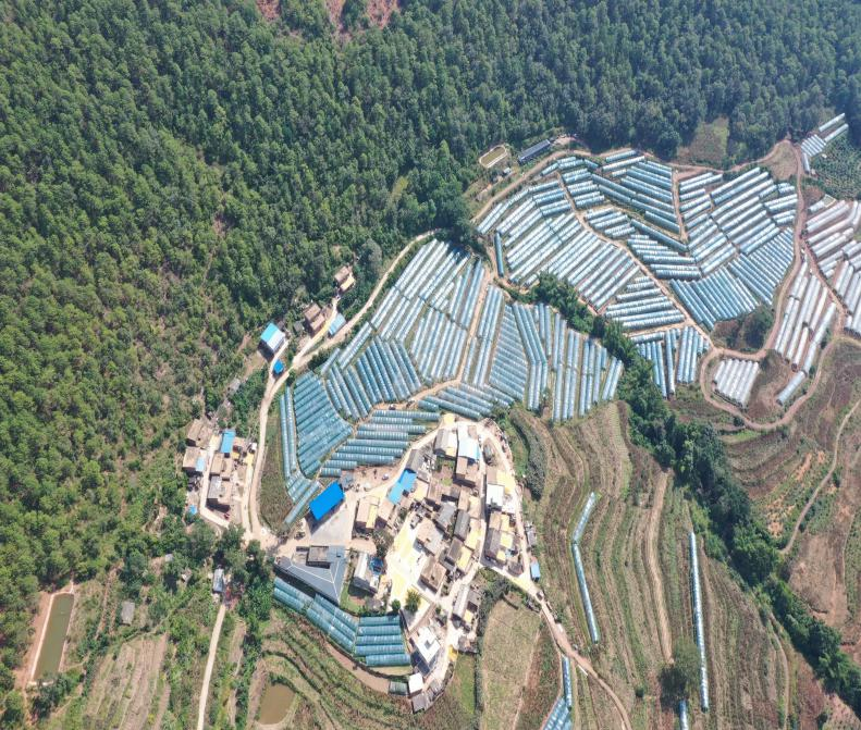 图片3.png 图片3.png