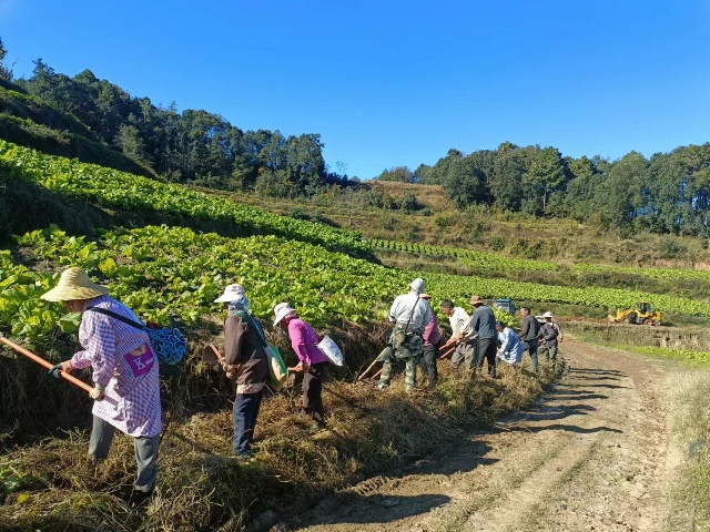 宁河村修缮机耕道路2.jpg