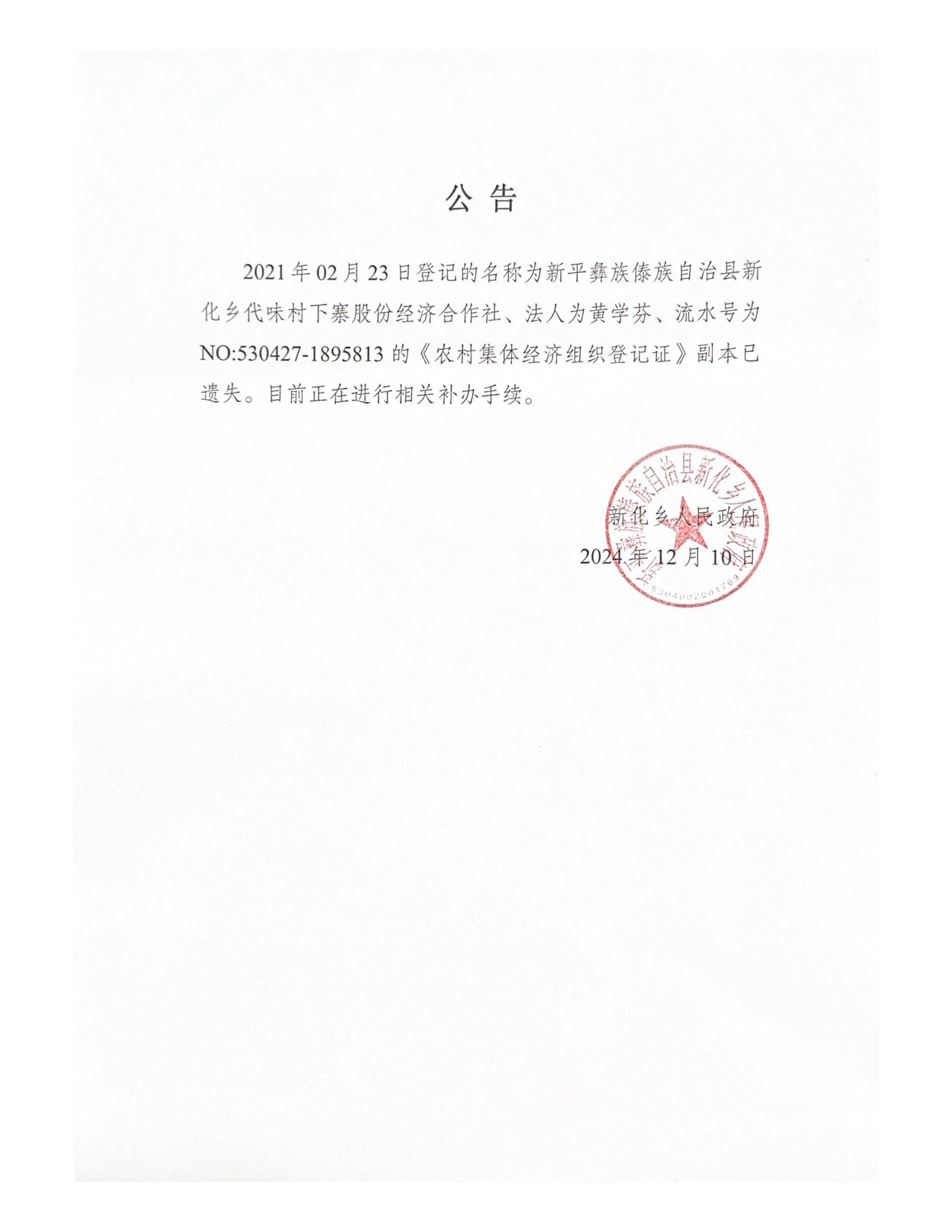 2021年02月23日登记的名称为新平彝族傣族自治县新_00.png