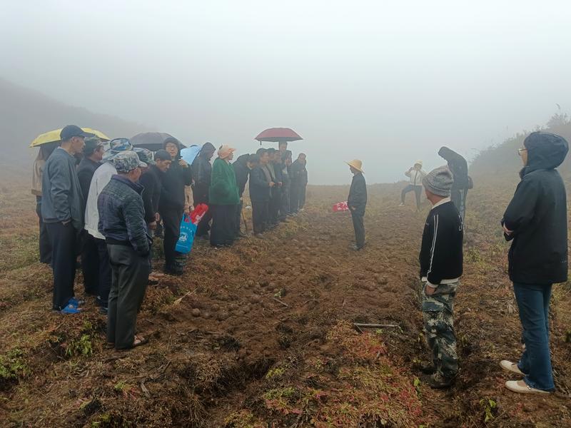 建兴乡:科技支撑魔芋、黄精产业,助力群众增收3.jpg 建兴乡:科技支撑魔芋、黄精产业,助力群众增收3.jpg