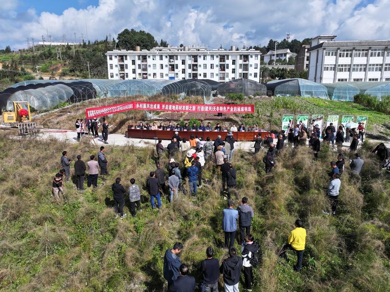建兴:亩产6吨 三年生天门冬首次测产迎丰收1.jpg 建兴:亩产6吨 三年生天门冬首次测产迎丰收1.jpg