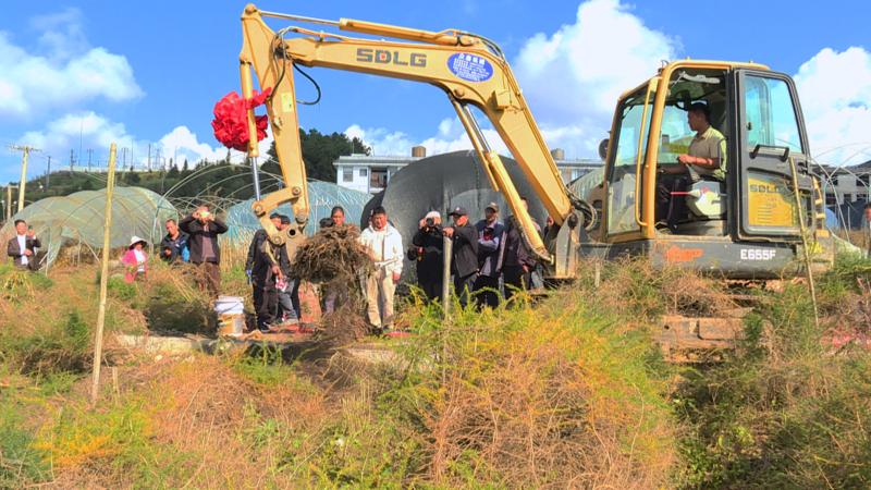 建兴:亩产6吨 三年生天门冬首次测产迎丰收2.jpg 建兴:亩产6吨 三年生天门冬首次测产迎丰收2.jpg