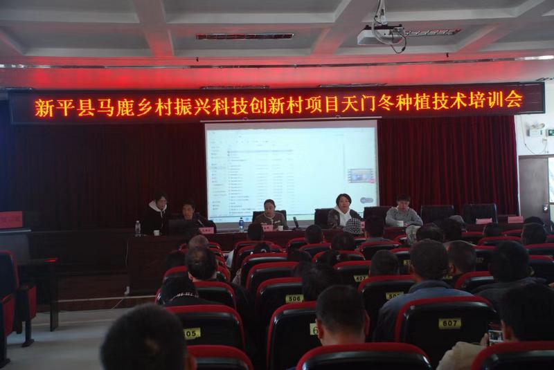 建兴:亩产6吨 三年生天门冬首次测产迎丰收5.jpg 建兴:亩产6吨 三年生天门冬首次测产迎丰收5.jpg