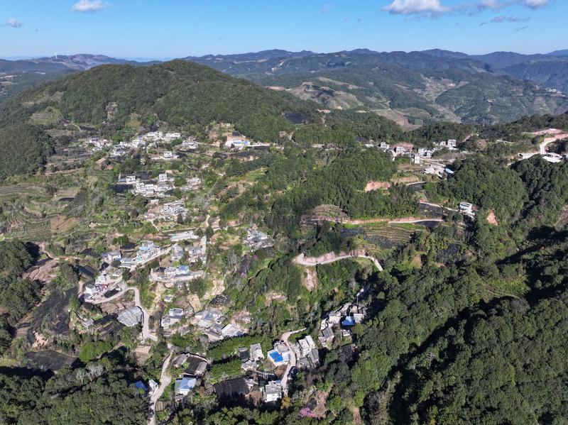 建兴:一缕药香富农家 产业赋能促振兴4.jpg 建兴:一缕药香富农家 产业赋能促振兴4.jpg