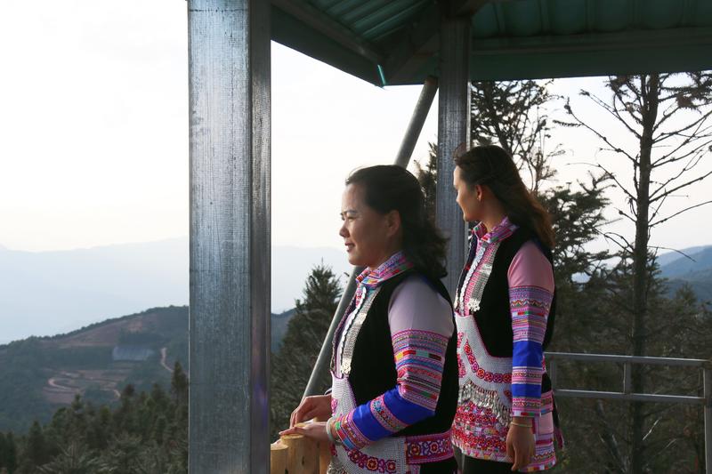 建兴:一缕药香富农家 产业赋能促振兴5.jpg 建兴:一缕药香富农家 产业赋能促振兴5.jpg
