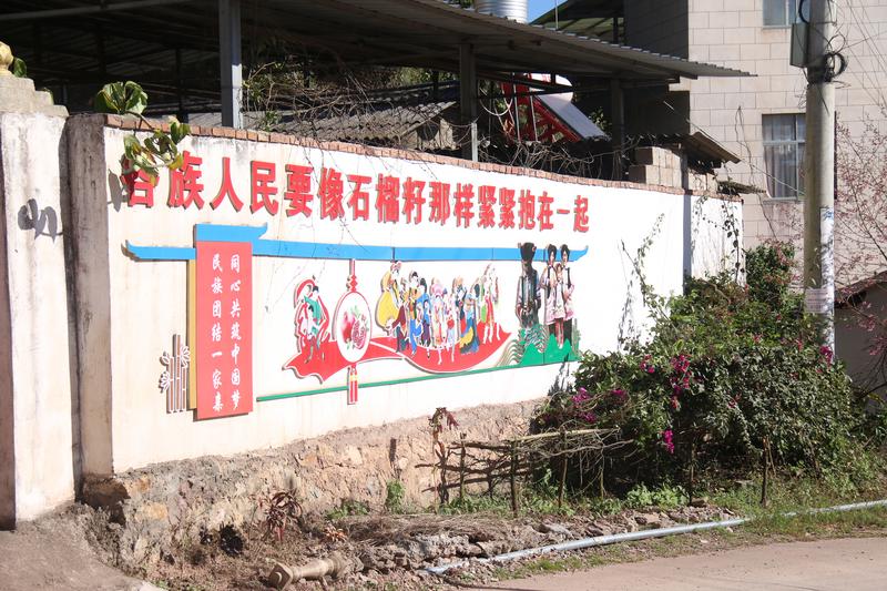 建兴:一缕药香富农家 产业赋能促振兴6.jpg 建兴:一缕药香富农家 产业赋能促振兴6.jpg