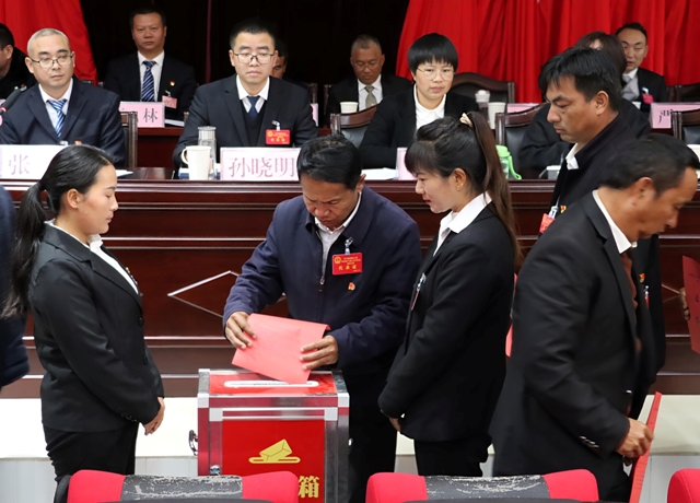 投票（政务公开）.jpg