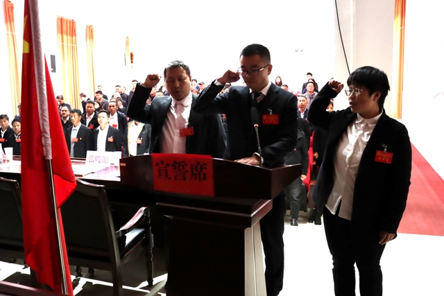 宣誓（政务公开）.jpg