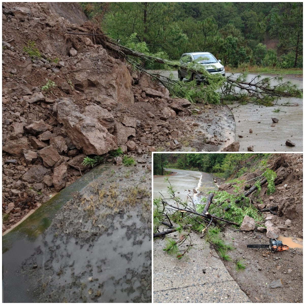 水毁路段-树.jpg 水毁路段-树.jpg