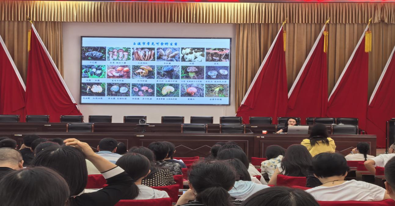 图片51.png