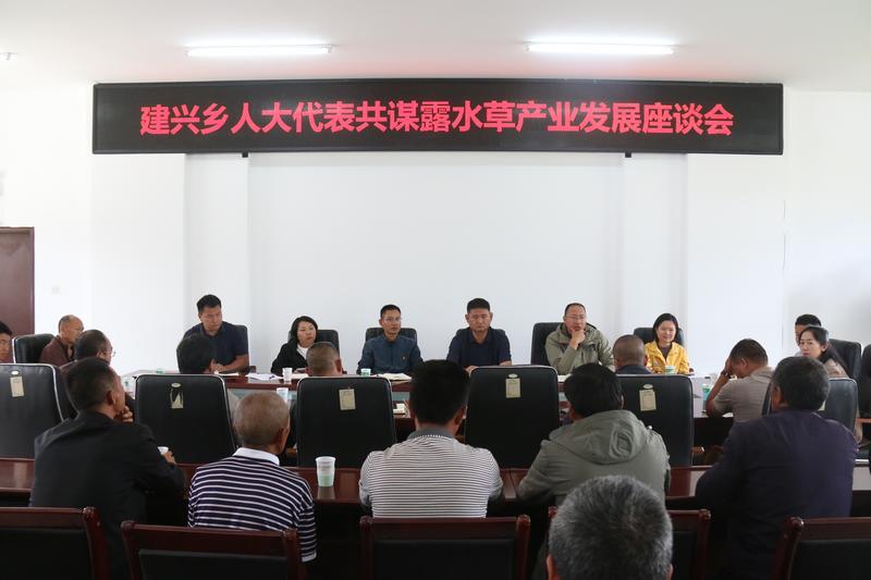 建兴:产业座谈凝心凝智聚共识 人大代表建言献策谋发展1.jpg 建兴:产业座谈凝心凝智聚共识 人大代表建言献策谋发展1.jpg
