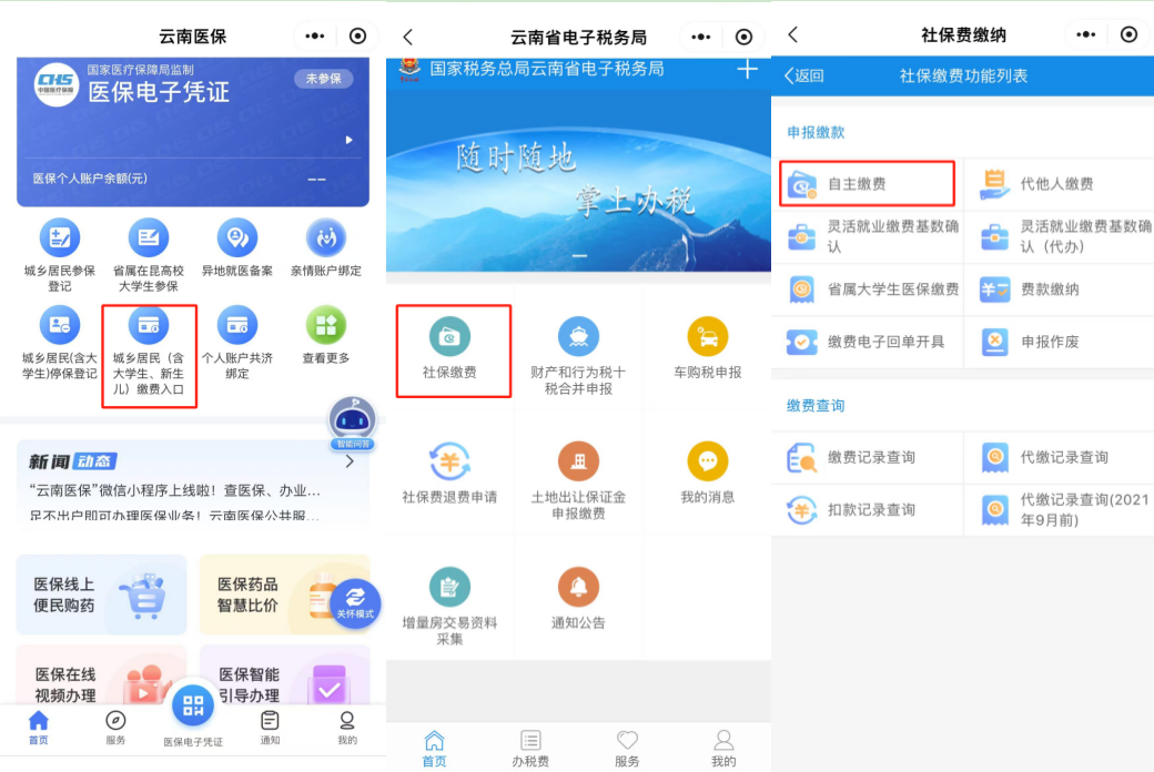 @云南-2.png