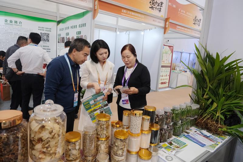建兴滇黄精茶南博引关注3.jpg 建兴滇黄精茶南博引关注3.jpg