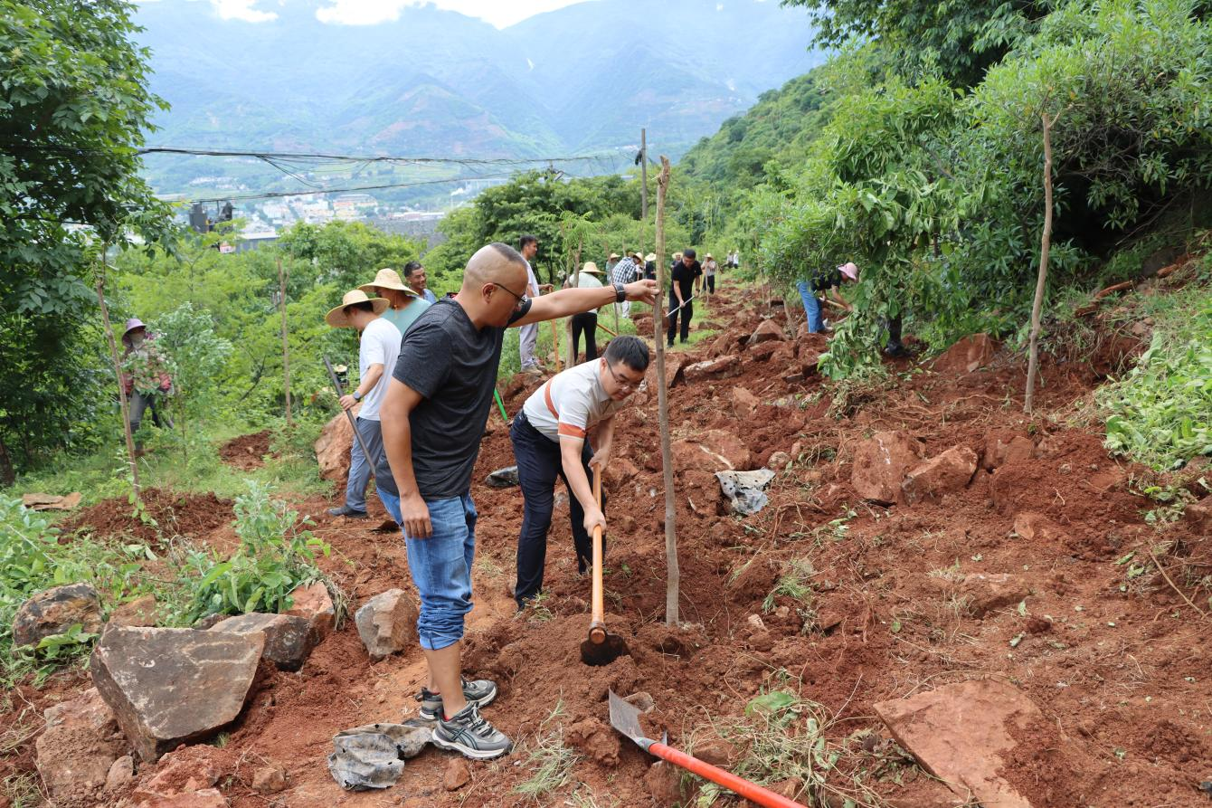 图片2.png 图片2.png