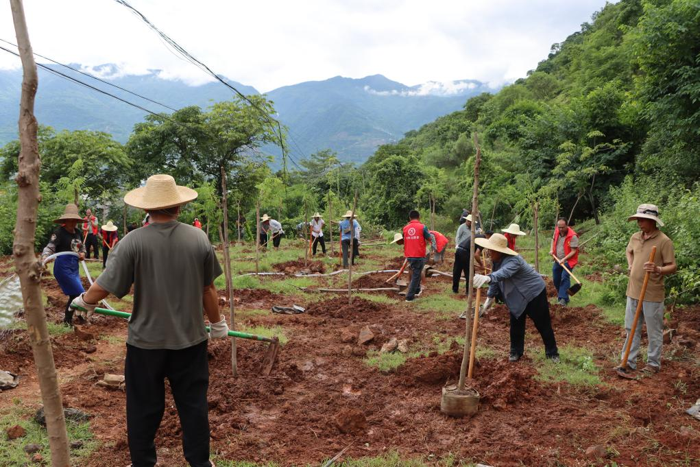 图片3.png 图片3.png