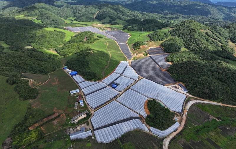 建兴:“家门口”蓝莓基地务工忙1.jpg 建兴:“家门口”蓝莓基地务工忙1.jpg