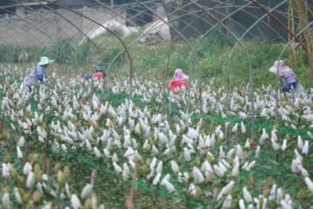 微信图片_20250818150418_107.jpg 微信图片_20250818150418_107.jpg