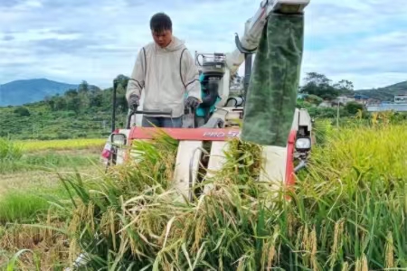 微信图片_20250818150414_106.jpg 微信图片_20250818150414_106.jpg